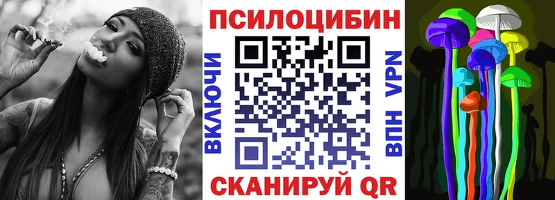 Псилоцибиновые грибы ЛСД  закладки  блэк спрут ССЫЛКА  Павловский Посад 
